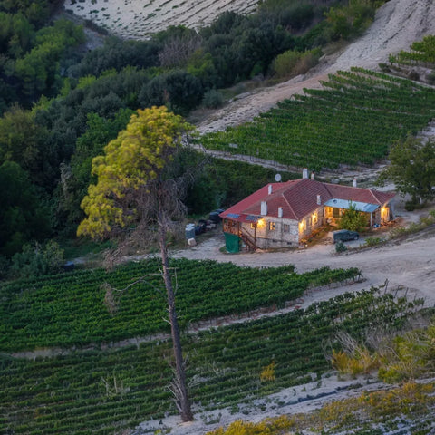 Olivenöl vom Berg Athos extra nativ